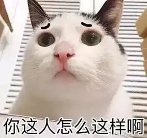  养着破坏力分分钟挠破3万沙发的猫咪,我就问你还咋搞装修