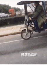 猫gif搞笑图片搞笑图片