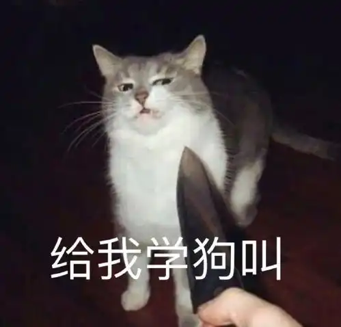  猫快给我学狗叫丨第95期喵表情