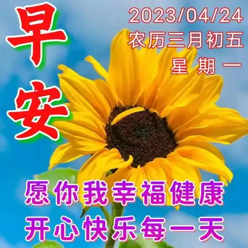  早安暖心祝福图片问候祝福语,新周愉快,身体健康,吉祥如意快乐清晨网易订阅