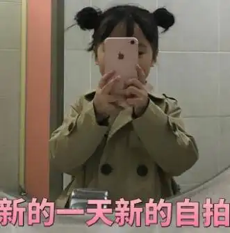  原来你根本不是喜欢我你跟我聊天只是为了偷我的表情包