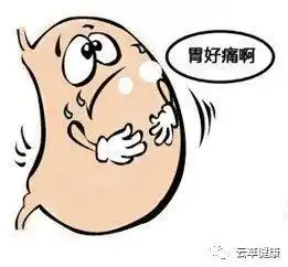  这些胃病,三七都能治