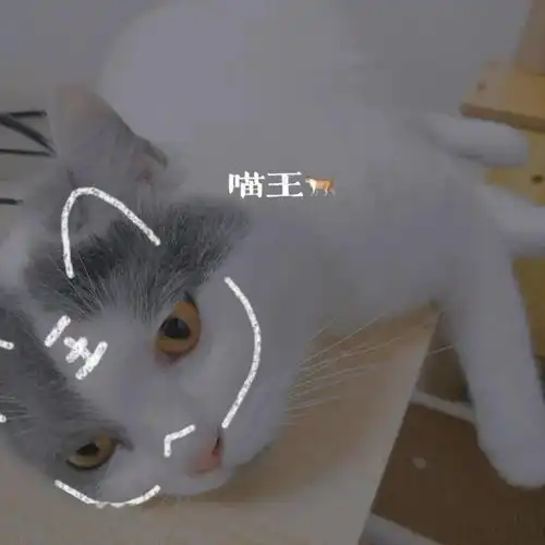  10w搞了个电竞情侣房,完成了两个人长久以来的梦想哈哈哈