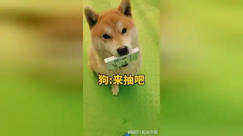  狗只要有银子就好使