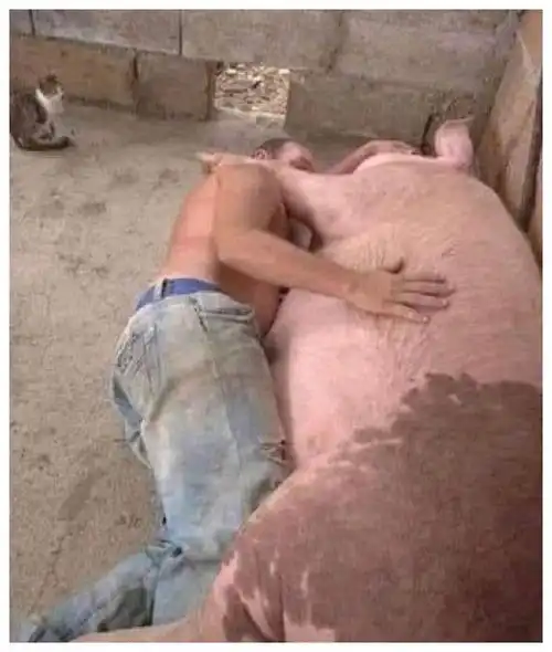  搞笑图片坐个三轮车,在气质这方面也要优雅