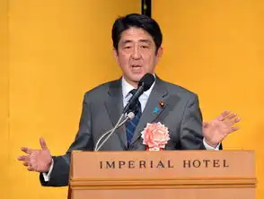  高清组图安倍晋三会晤日企代表当众提裤子