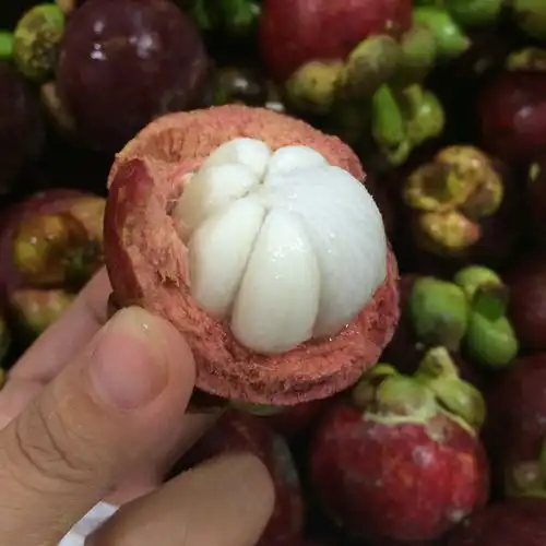  如果你没有几千万留给子孙就留沉香树若干年后子孙有房有车