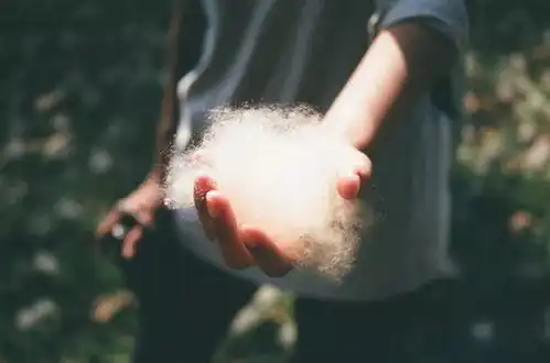  顺父母的意,安自己的心,享人间的福