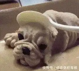  搞笑图片幽默段子笑话哥们,太吝啬了吧,菊花茶有这样泡的吗