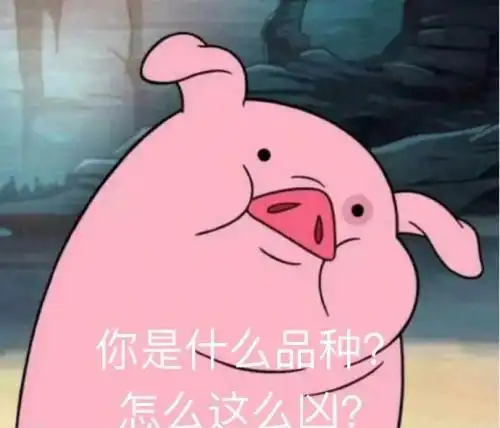  开心一刻男人的构造都一样,为什么你还要挑男朋友