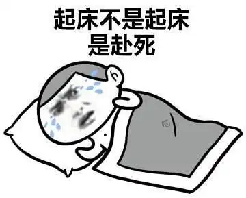 冷到不想起床  冷到不想起床