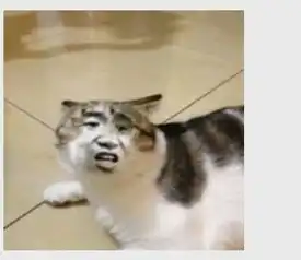 别人在微信里发了一个动态的猫头人脸表情图片,是一个猫头,有好几个的人脸,转一下变一下脸叫什么表情, 别人在微信里发了一个动态的猫头人脸表情图片,是一个猫头,有好几个的人脸,转一下变一下脸叫什么表情,