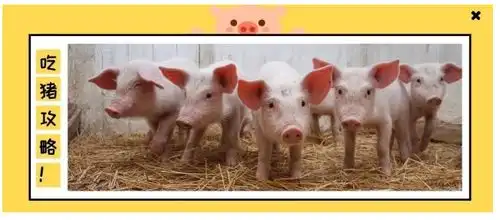 2019猪年最强吃猪攻略,用108种方式优雅吃猪  2019猪年最强吃猪攻略,用108种方式优雅吃猪