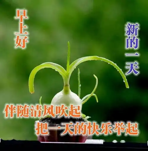  6月18日周四清晨早上好问候祝福动态表情图片6月最新早安问候祝福图片带字温馨