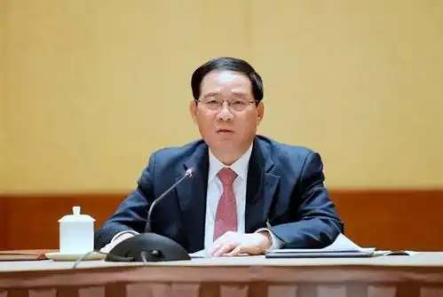 李强代表审议政府工作报告
