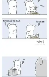  祝你生日快乐我好开心,因为我老婆是头猪