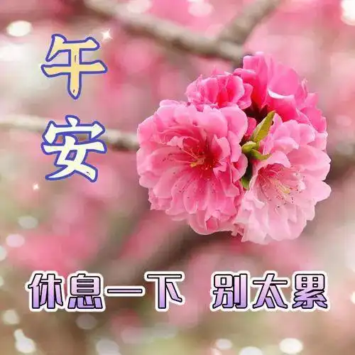  中午好图片大全,午安表情包,中午好祝福问候图片,午安顺心