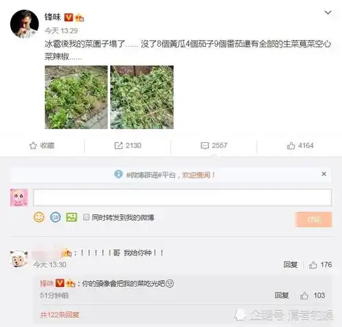 谢霆锋菜园子塌了,发博倾诉自己亏了几个菜,粉丝真的好好笑  谢霆锋菜园子塌了,发博倾诉自己亏了几个菜,粉丝真的好好笑