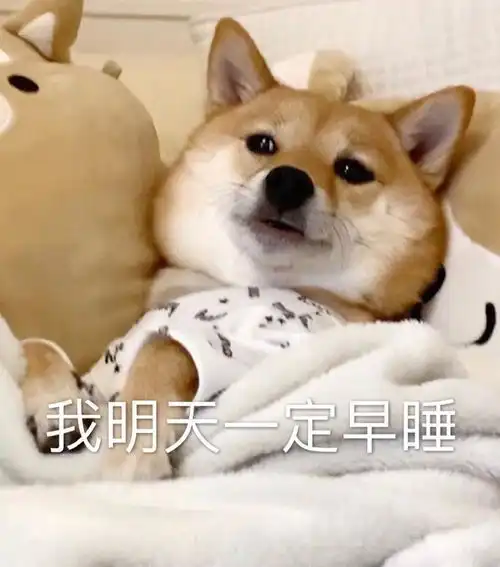  表情包靓仔习惯了孤独