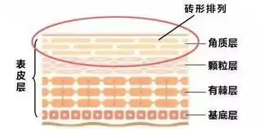  科学说据说这个小动作会致癌关键是你天天在做