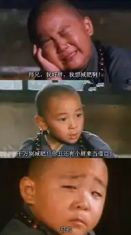  爆笑十张图请不要减肥,胖可以为你的丑做借口