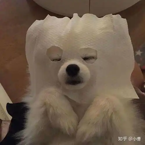  有哪些发微信二维码加好友时有趣的文案吗