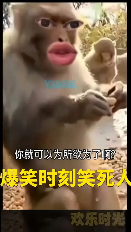 爆笑沙雕动物配音笑死人  爆笑沙雕动物配音笑死人