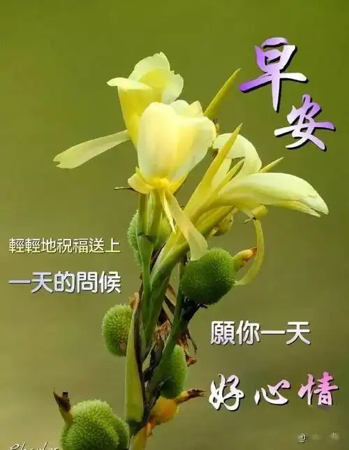  点击崭新的日历,翻开新的日记,保存真心的祝福,删除所有的委屈