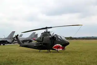  捷克北约日航空展新老武器齐亮相