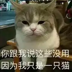  丑令人心碎,可胖才更令人绝望教你一招瘦出s型