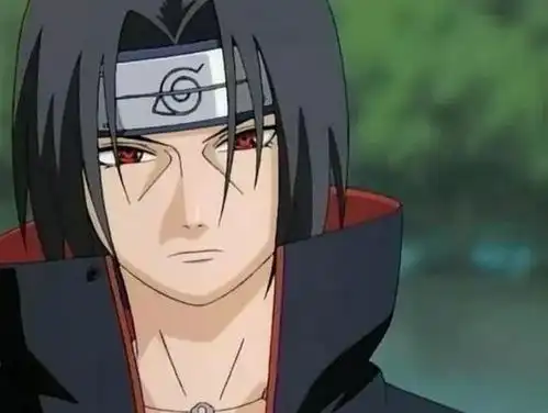 1收藏夹  1收藏夹