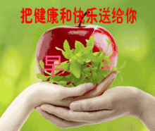  拜拜了您内表情包大全
