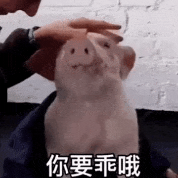  沙雕表情我肚皮拱你