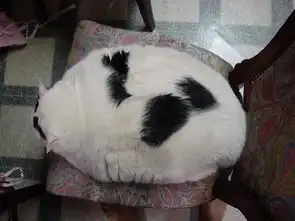 熬夜图片搞笑图片大全动