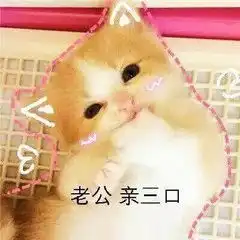 抱着睡图片表情包可爱