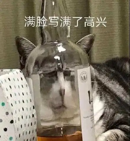  游游鸭的想法什么是高功能抑郁症