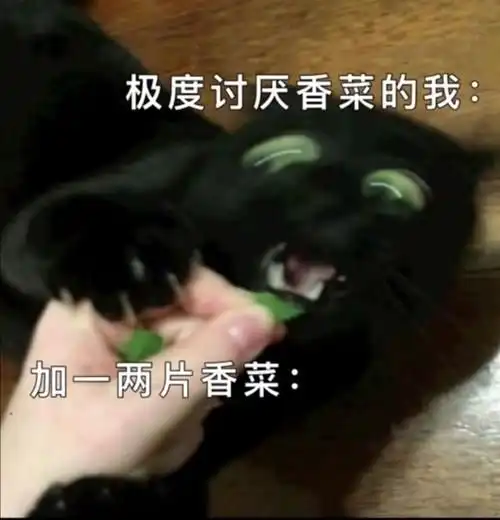  每日趣图不爱吃香菜的人到底有多不爱吃香菜