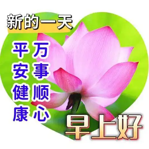  中午好图片,中午好问候,中午好祝福