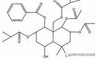  攻克白癜风4种增加皮肤色素方法,万变不离其宗