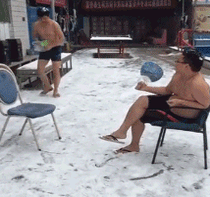  搞笑gif趣图一看就知道是叶问家的猫