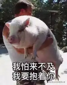  养猪人一看,就笑哈哈的几张图片