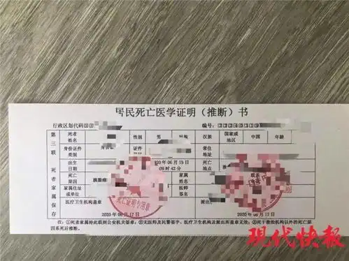  死亡证明,200元一份让人防不胜防辛集老兵视线
