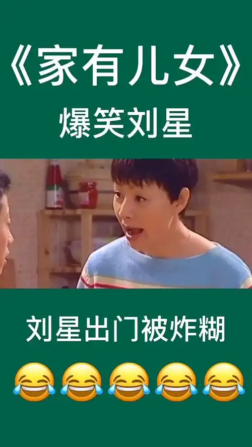  搞笑视频家有儿女刘星出门被炸糊