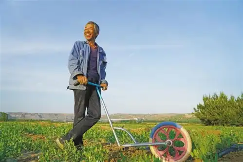 府谷县段寨村幸福花开黄河岸 府谷县段寨村幸福花开黄河岸