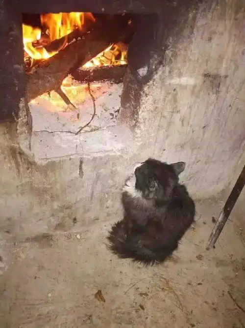 搞笑图片太暖心了,最亲还是宿管阿姨  搞笑图片太暖心了,最亲还是宿管阿姨