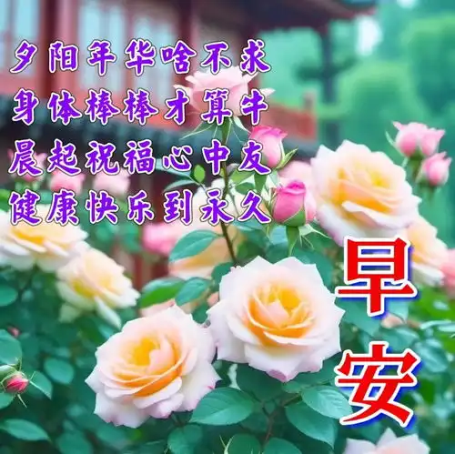  2024年4月25日漂亮周四早安祝福图片,早安祝福语精选
