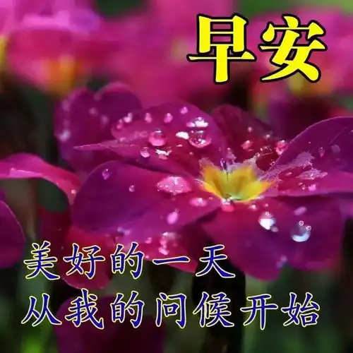 早晨安好借一句吉言,让幸运与你相随,早晨好