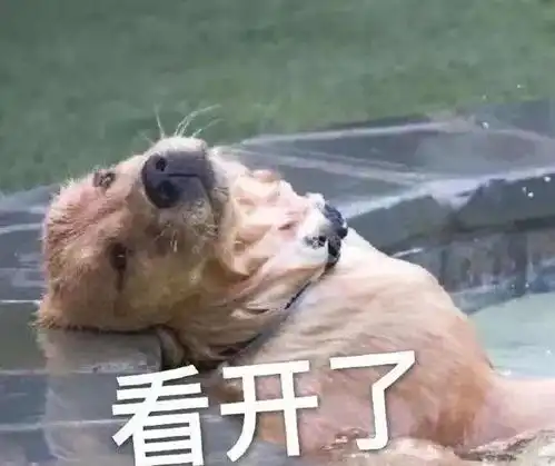  爆笑我化成灰你都认识,可我p过的图片,你居然叫我推微信离谱