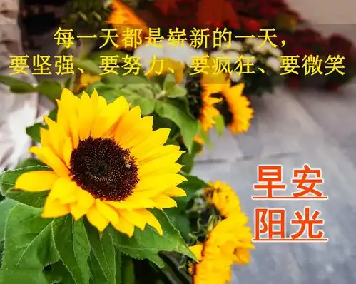 清晨问候图片搞笑清晨