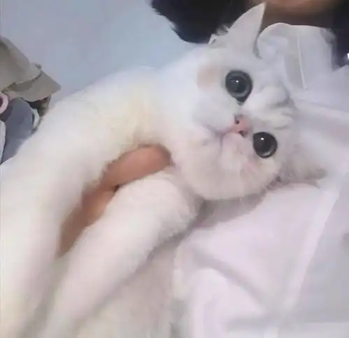  当爸爸第一次带孩子太真实了笑喷哈哈哈哈哈哈